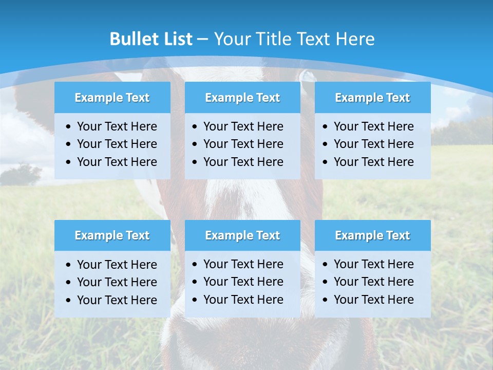 Summer Vibrant Single PowerPoint Template