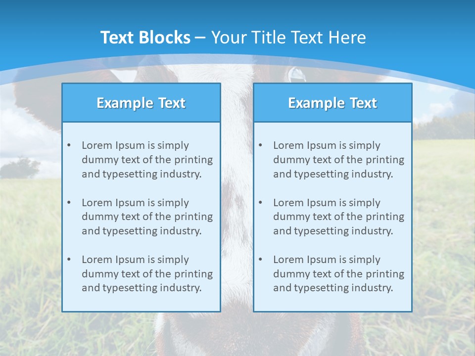 Summer Vibrant Single PowerPoint Template