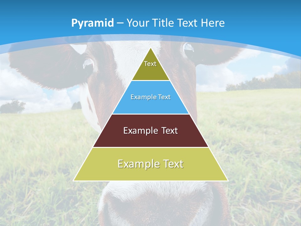 Summer Vibrant Single PowerPoint Template