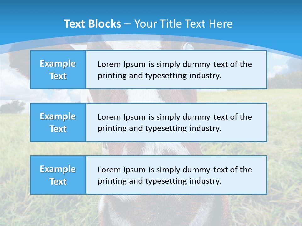 Summer Vibrant Single PowerPoint Template