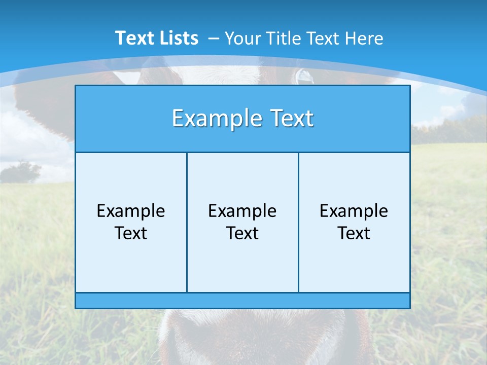 Summer Vibrant Single PowerPoint Template