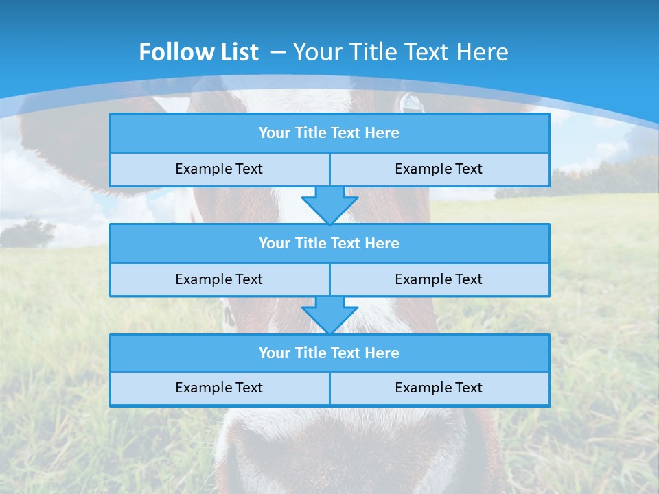 Summer Vibrant Single PowerPoint Template