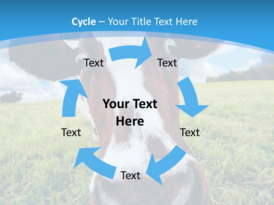 Summer Vibrant Single PowerPoint Template