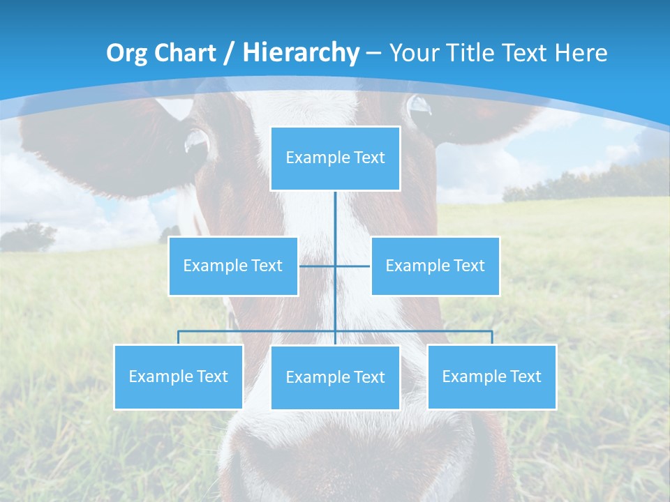 Summer Vibrant Single PowerPoint Template