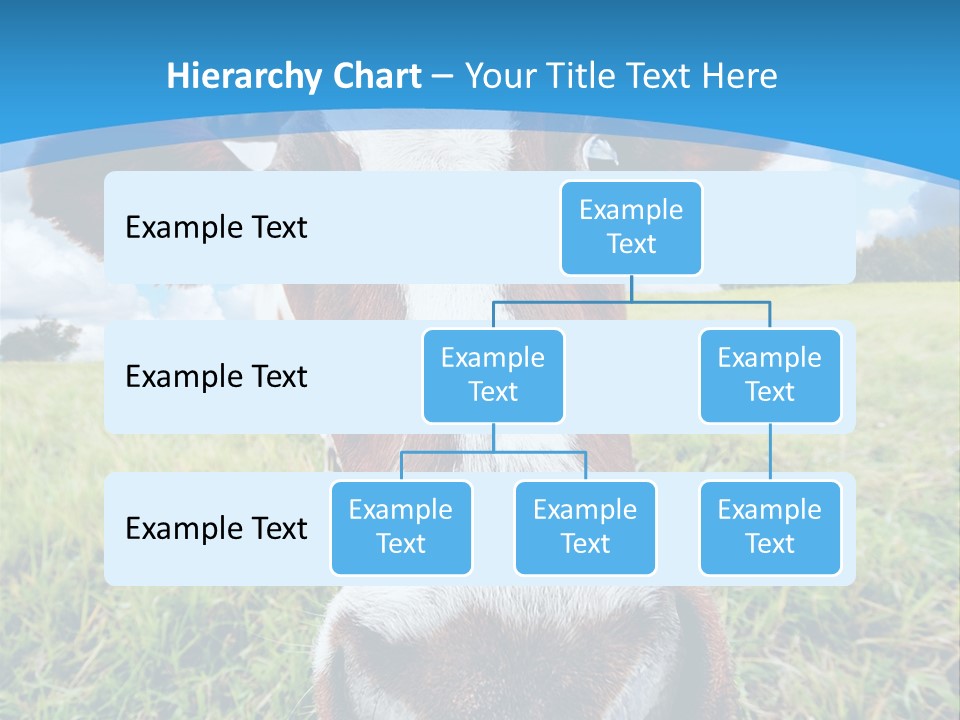 Summer Vibrant Single PowerPoint Template