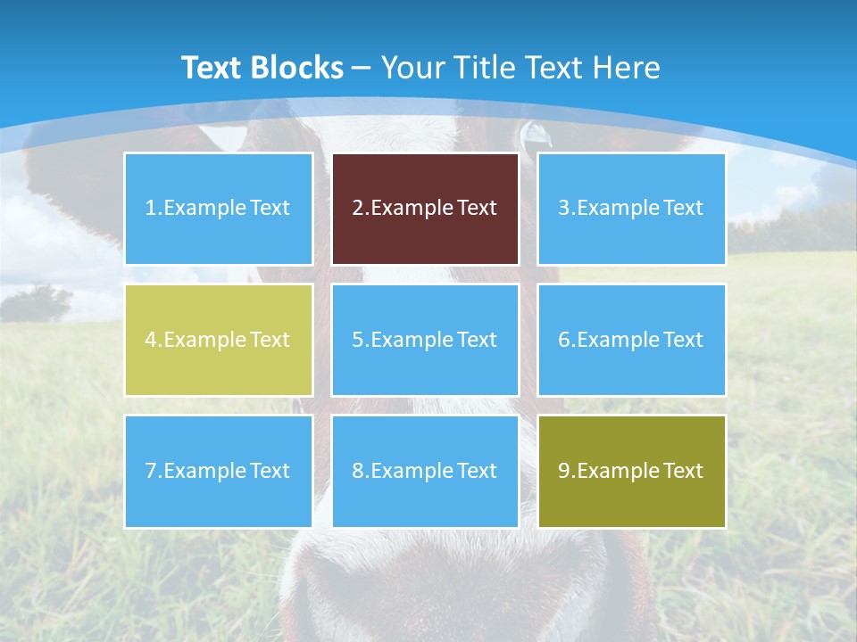 Summer Vibrant Single PowerPoint Template