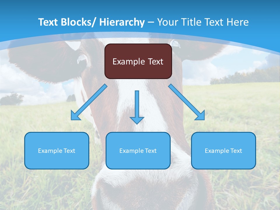 Summer Vibrant Single PowerPoint Template