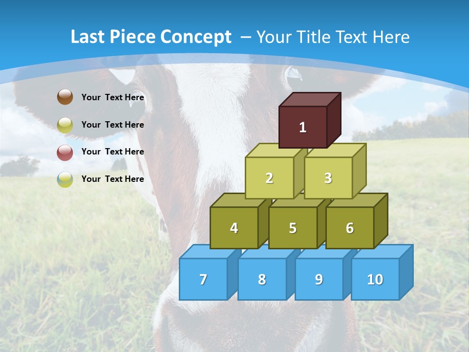 Summer Vibrant Single PowerPoint Template