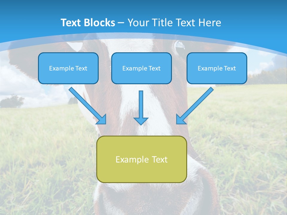 Summer Vibrant Single PowerPoint Template
