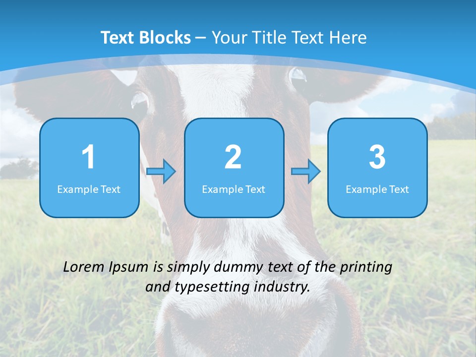 Summer Vibrant Single PowerPoint Template