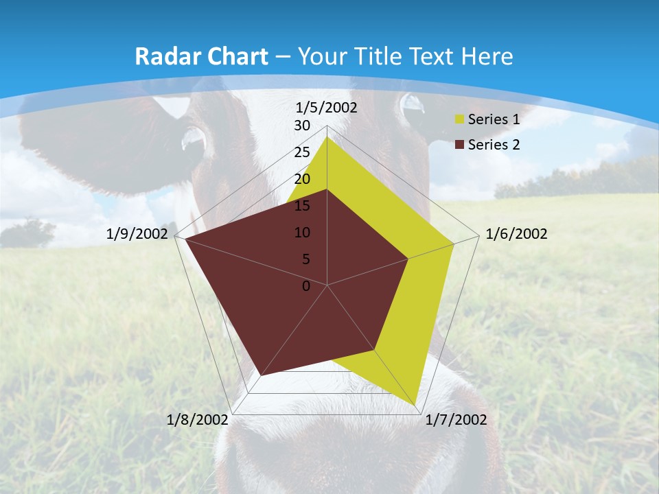 Summer Vibrant Single PowerPoint Template
