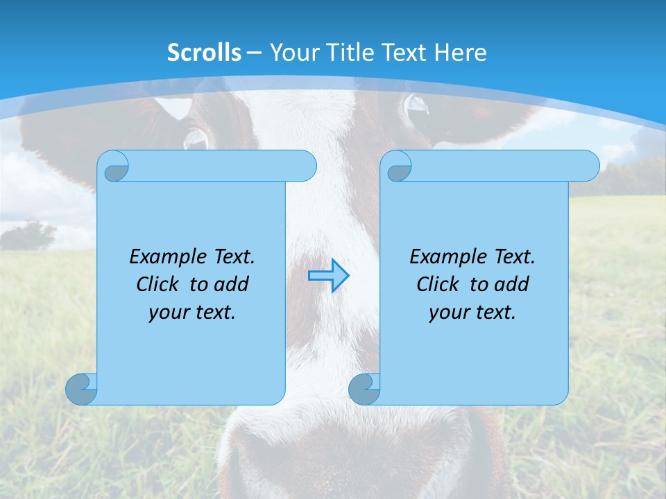 Summer Vibrant Single PowerPoint Template