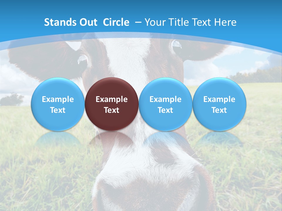 Summer Vibrant Single PowerPoint Template