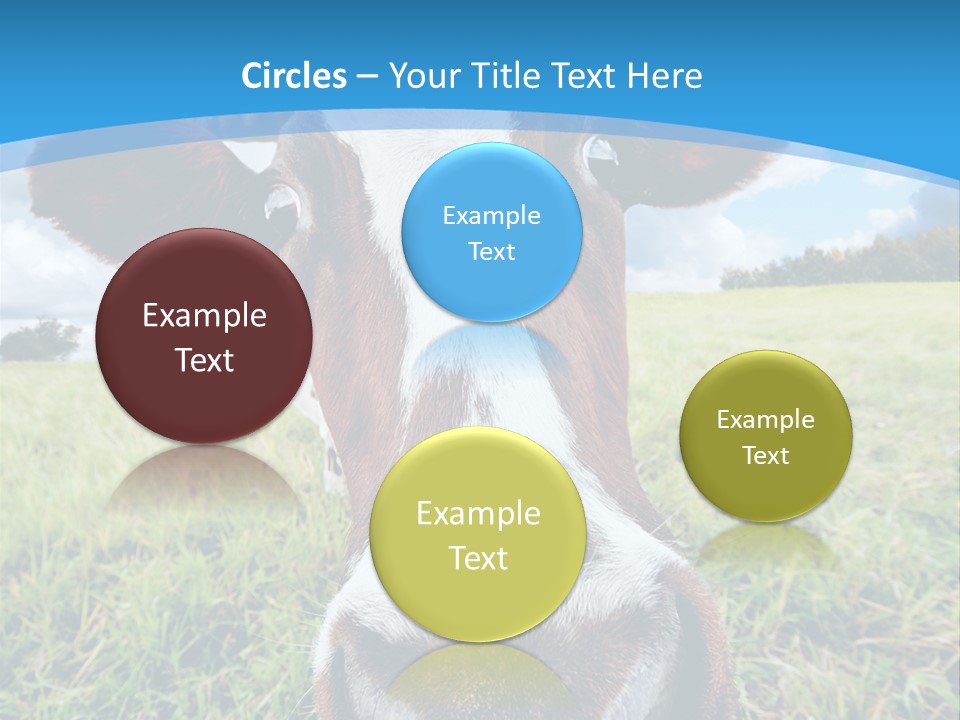 Summer Vibrant Single PowerPoint Template