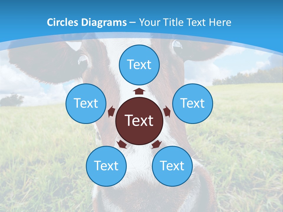 Summer Vibrant Single PowerPoint Template