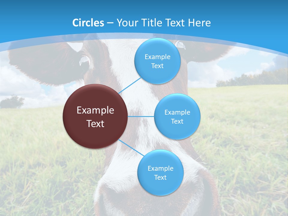 Summer Vibrant Single PowerPoint Template