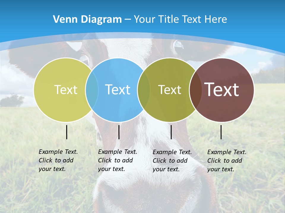 Summer Vibrant Single PowerPoint Template