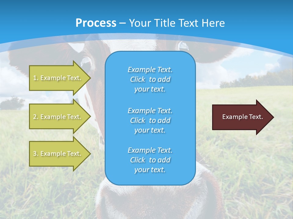 Summer Vibrant Single PowerPoint Template