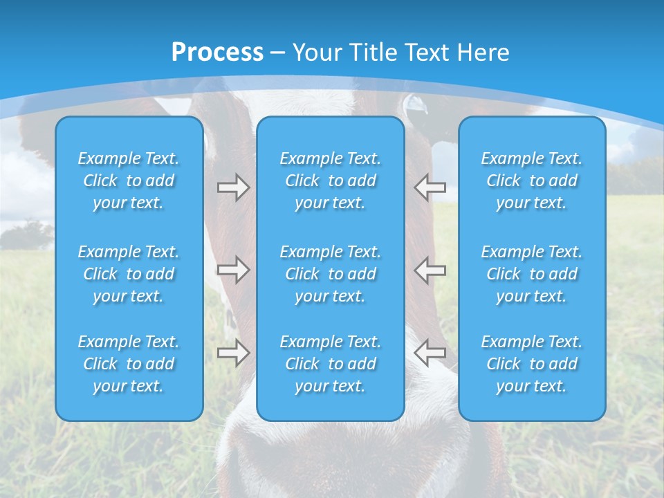 Summer Vibrant Single PowerPoint Template