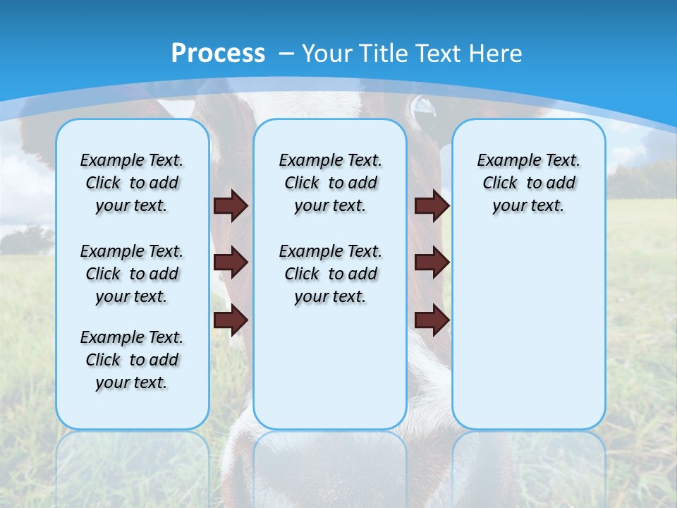 Summer Vibrant Single PowerPoint Template