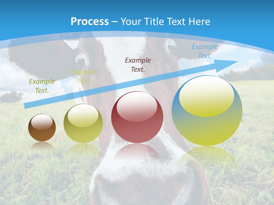 Summer Vibrant Single PowerPoint Template