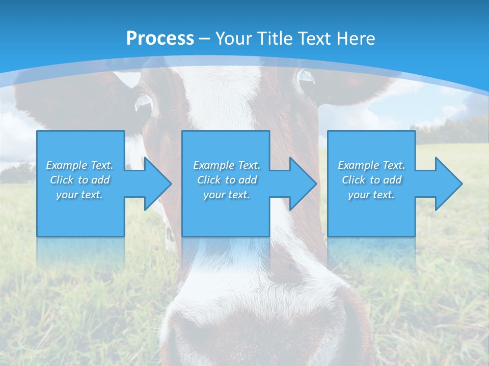 Summer Vibrant Single PowerPoint Template