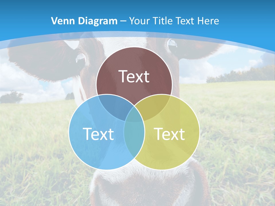 Summer Vibrant Single PowerPoint Template