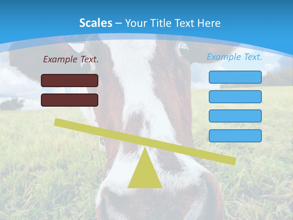 Summer Vibrant Single PowerPoint Template