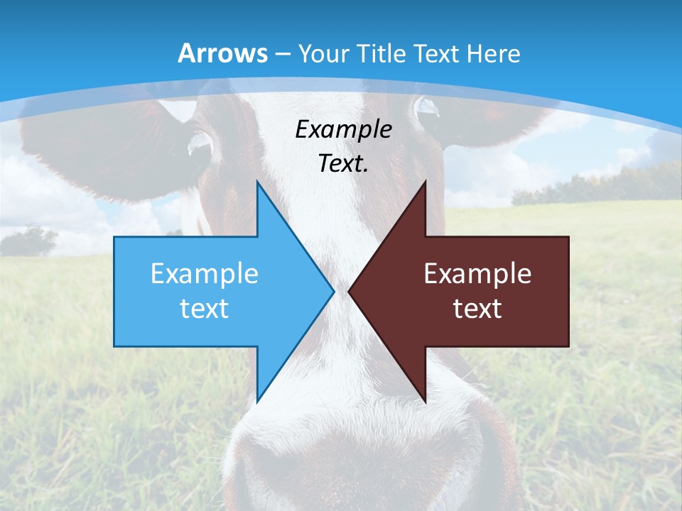 Summer Vibrant Single PowerPoint Template