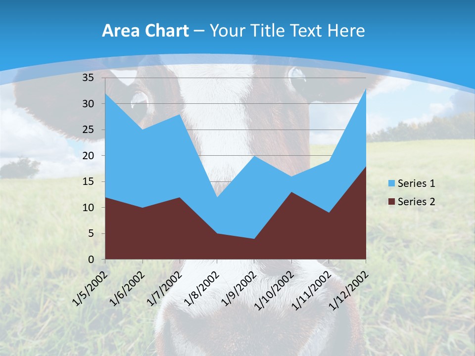 Summer Vibrant Single PowerPoint Template