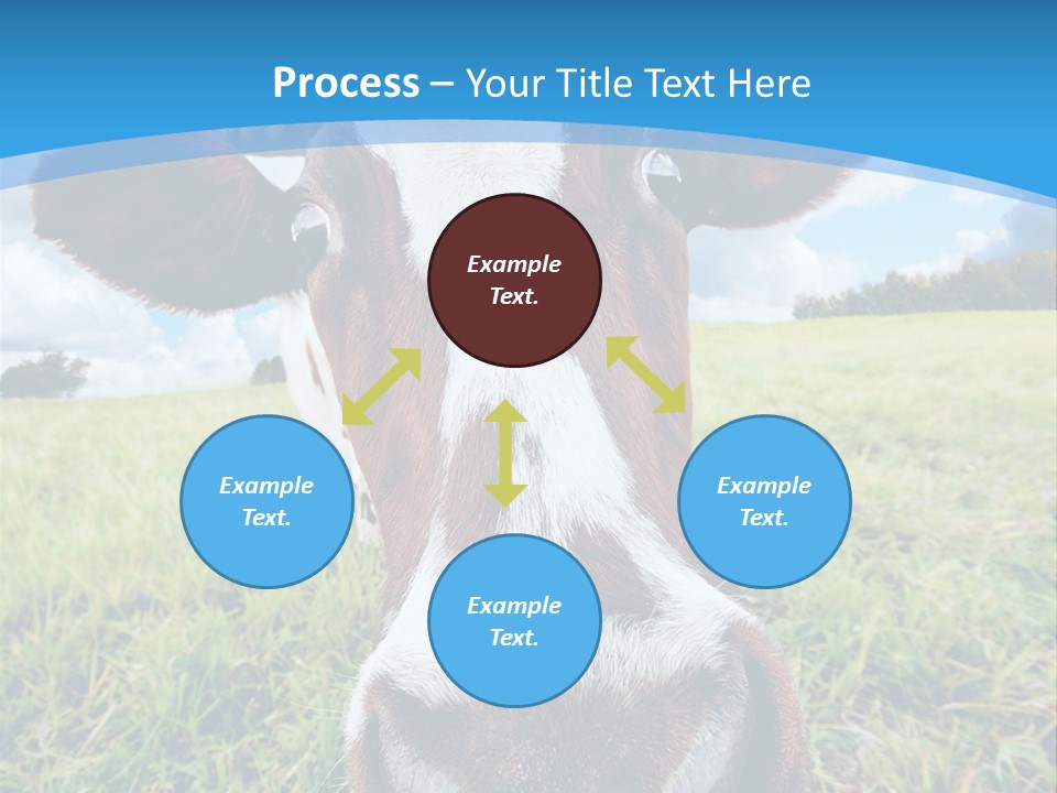 Summer Vibrant Single PowerPoint Template