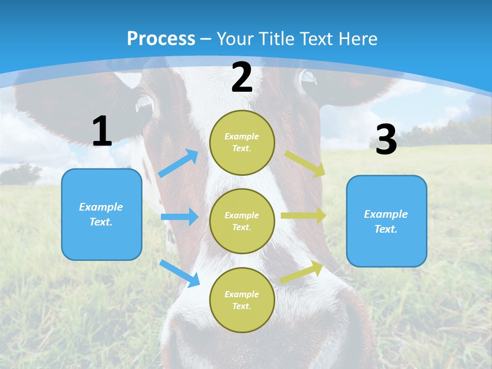 Summer Vibrant Single PowerPoint Template