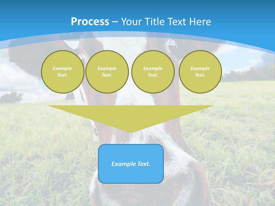 Summer Vibrant Single PowerPoint Template