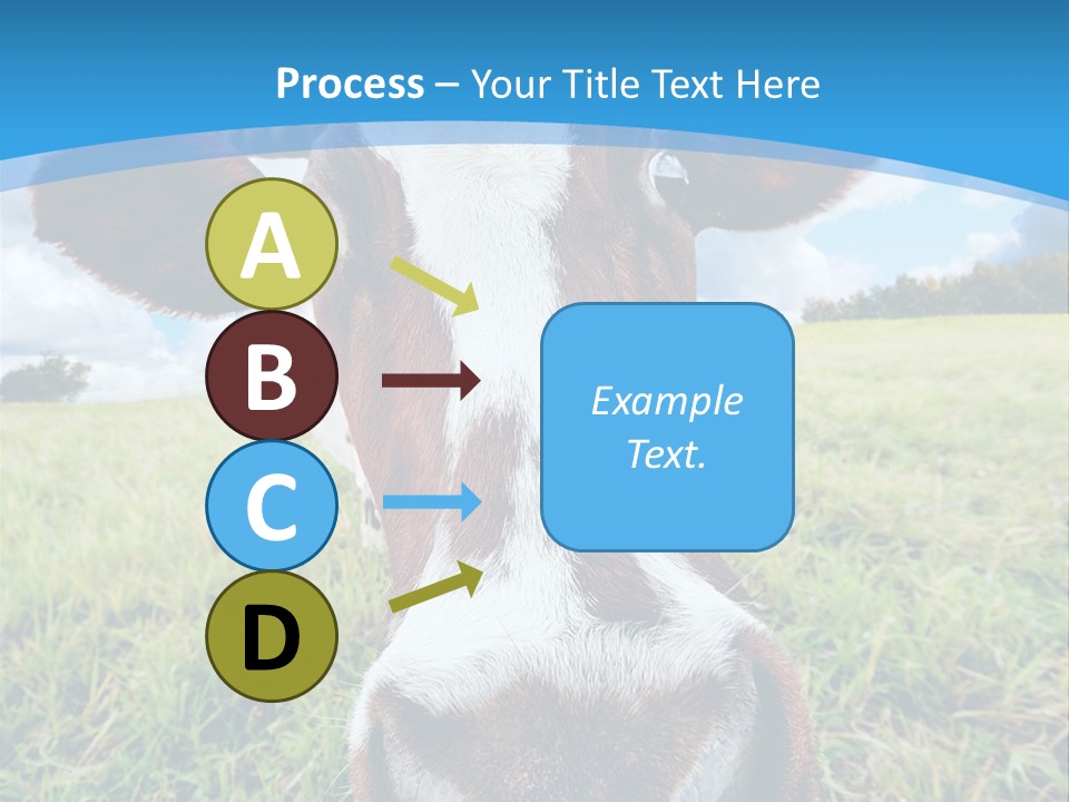 Summer Vibrant Single PowerPoint Template