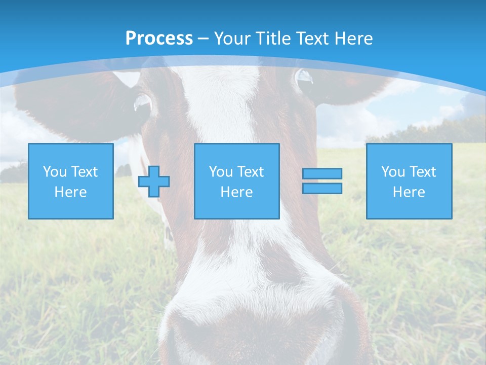 Summer Vibrant Single PowerPoint Template