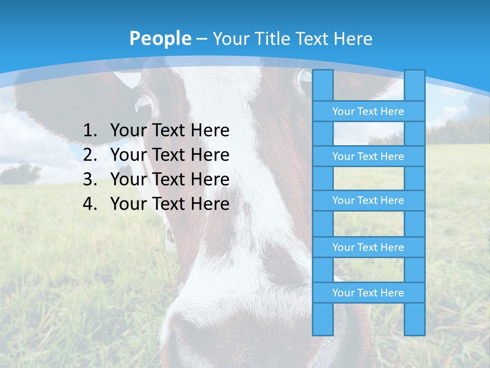 Summer Vibrant Single PowerPoint Template