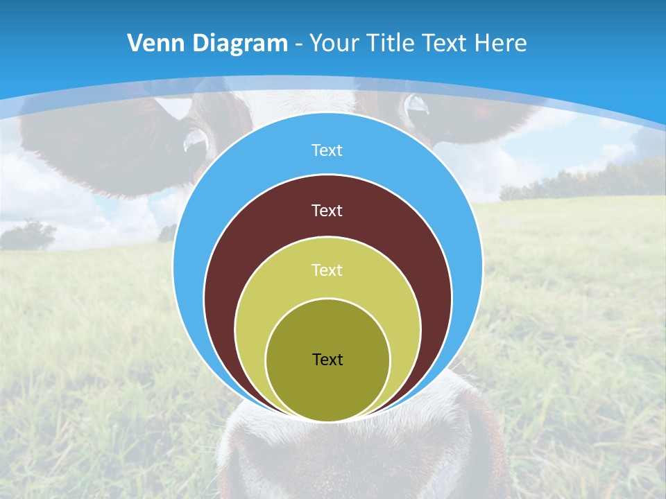 Summer Vibrant Single PowerPoint Template