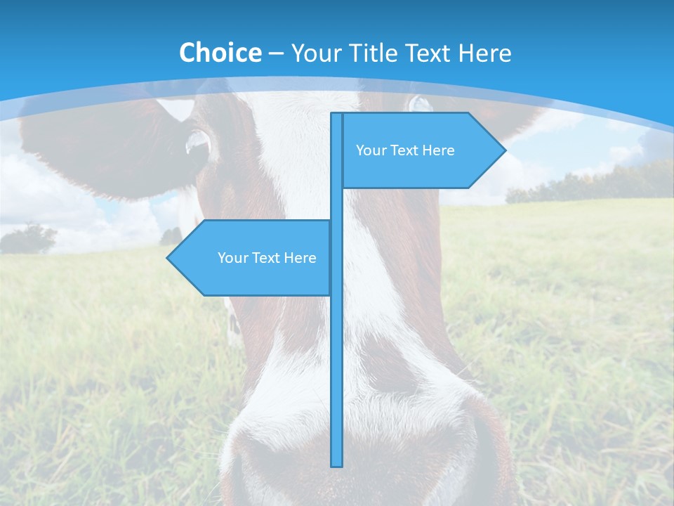 Summer Vibrant Single PowerPoint Template