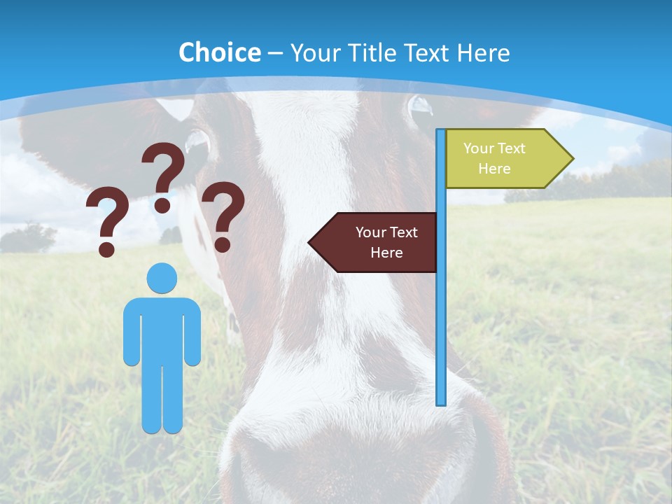 Summer Vibrant Single PowerPoint Template