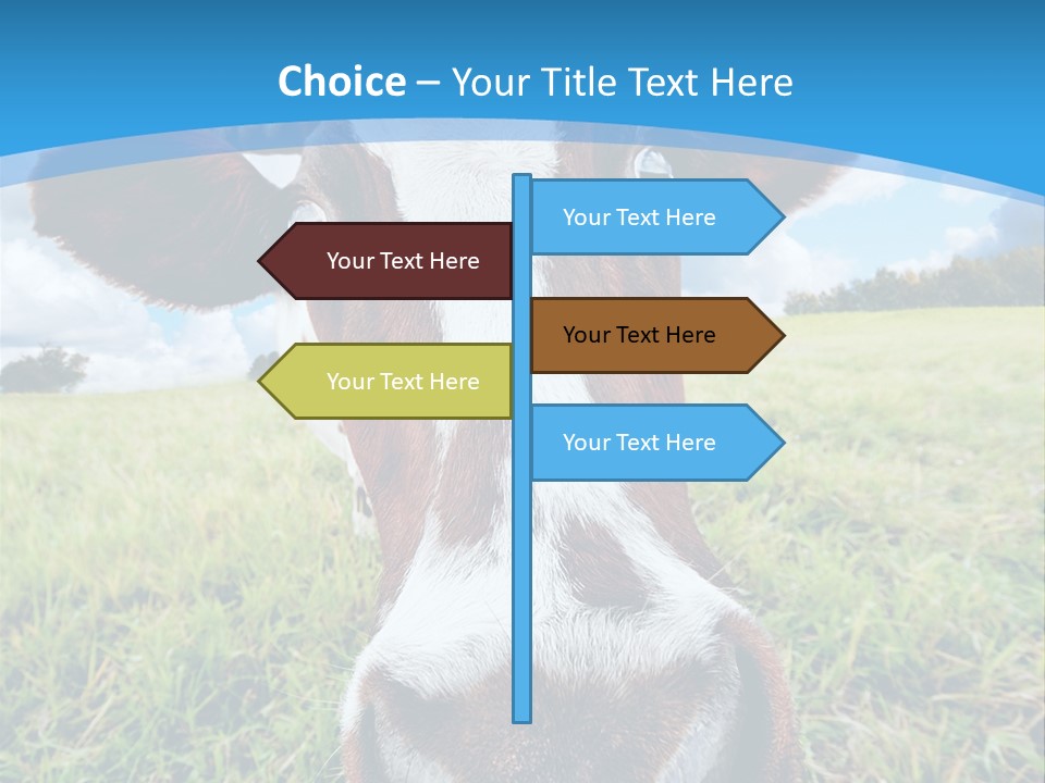 Summer Vibrant Single PowerPoint Template