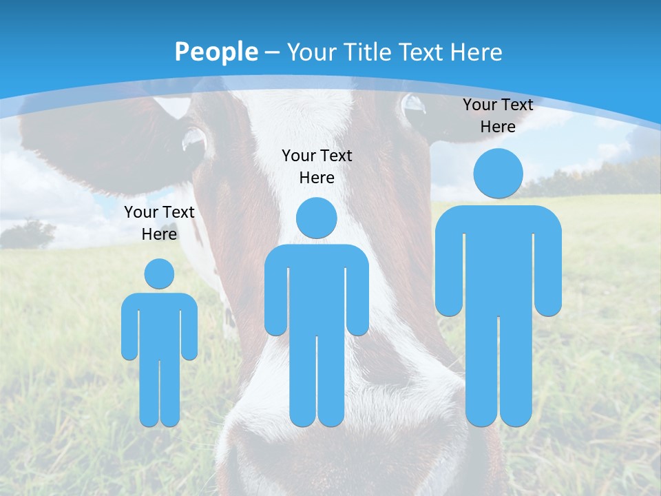 Summer Vibrant Single PowerPoint Template