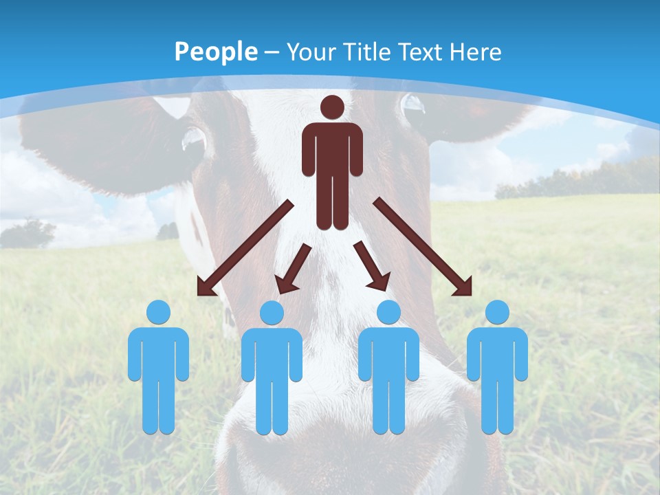 Summer Vibrant Single PowerPoint Template