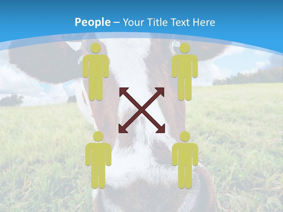 Summer Vibrant Single PowerPoint Template