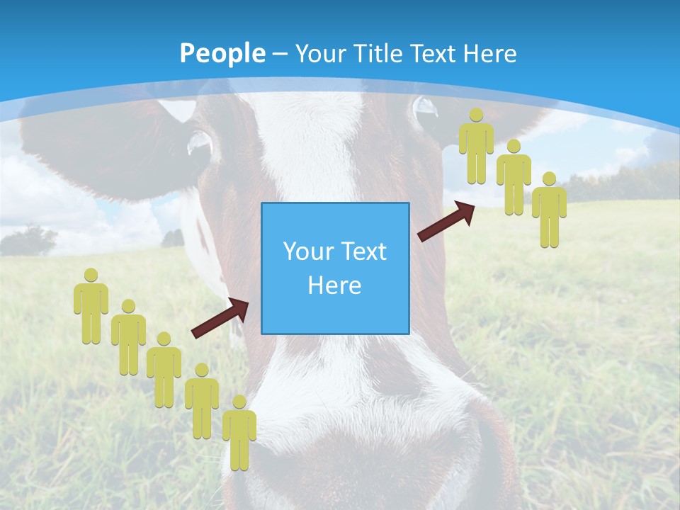 Summer Vibrant Single PowerPoint Template