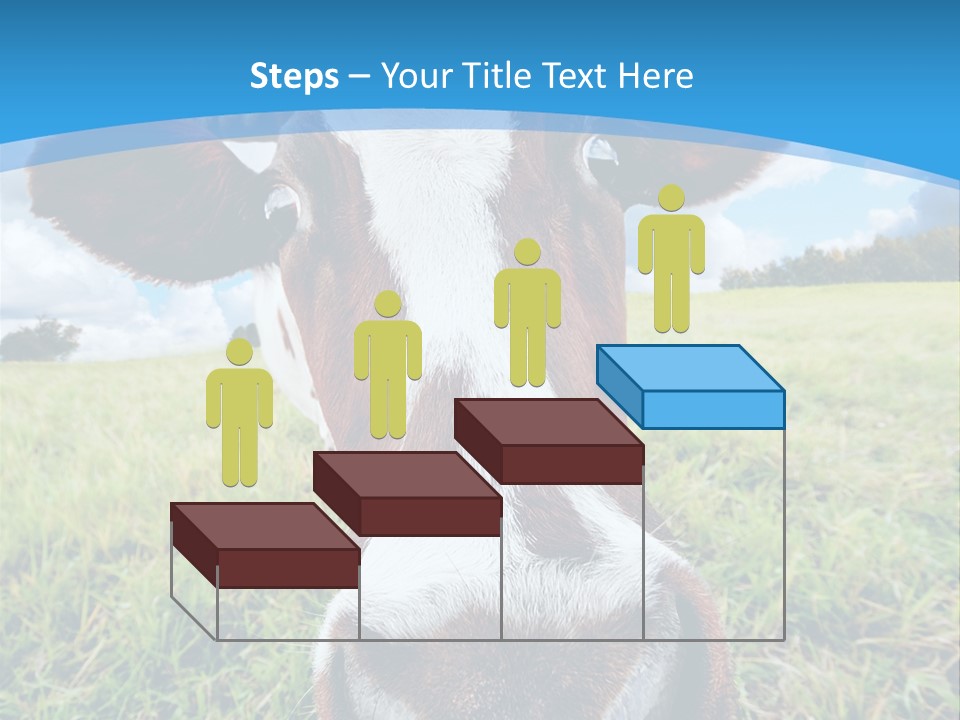 Summer Vibrant Single PowerPoint Template