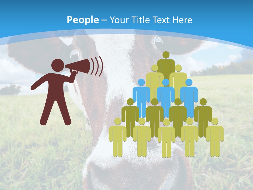 Summer Vibrant Single PowerPoint Template