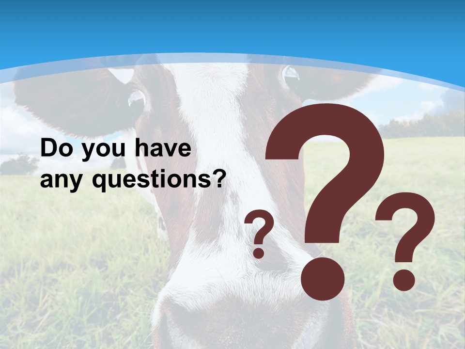 Summer Vibrant Single PowerPoint Template