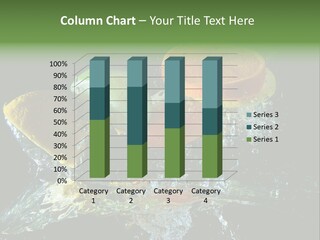 Fruit Splash PowerPoint Template