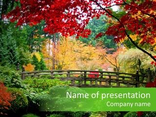 Fall Season PowerPoint Template