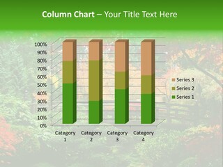 Fall Season PowerPoint Template